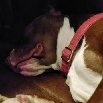 Some Princess 🤣😍🥰