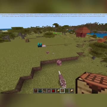 Exciting Updates for Scoot in Minecraft Bedrock! Turtle Scoot, Armadillo Scoot, and More!