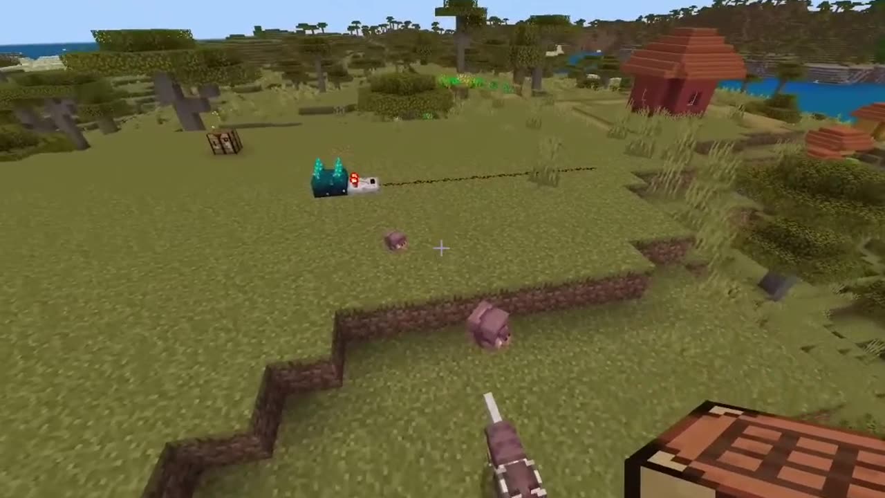 Exciting Updates for Scoot in Minecraft Bedrock! Turtle Scoot, Armadillo Scoot, and More!