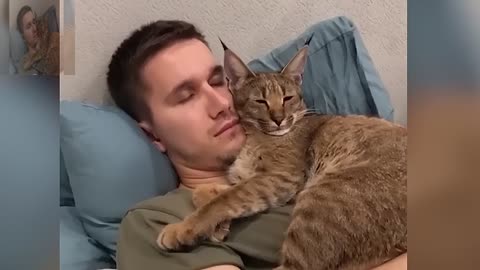 Cat sleeps with owner at the same time