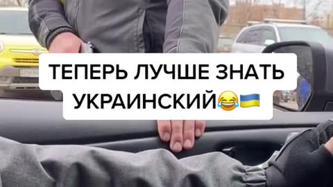 Ukrainian check point. Drivers are asked the magic password. Repeat the word Russian speakers can't pronounce right, "palyanitsa"