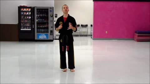 Basic Skillz Purple Belt - Yellow Stripe