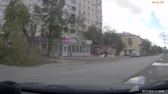 Man Leaves Parking Space And Just Seconds Later, A Tree Crashes Down