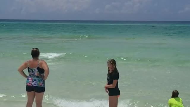 Summer Family Time On Beach , Sand Toasting and Water Splash