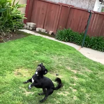 “Slow Down” | Chill Indie Beat / Instrumental | 95 bpm [CLIP]