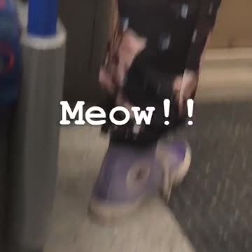 Meow cat sweatpants subway train