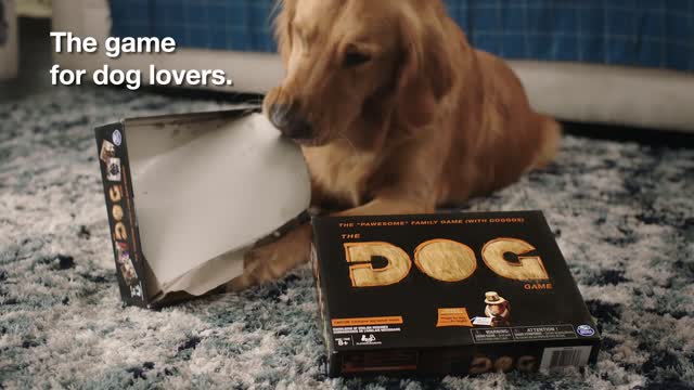 Spin Master Games | Dog Game