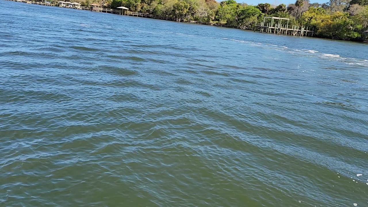 My Florida Travels 22