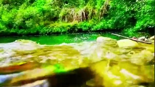 Amazing view of a river | Amazing videography