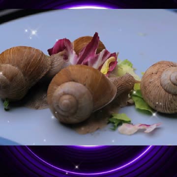 Discover the Hidden Danger of the Cone Snail's Venom