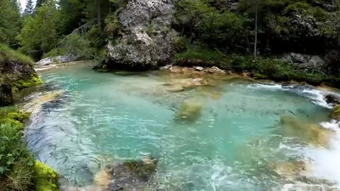 Birds Singing and Water Sounds Nature Sound Relaxation - Beautiful Relaxing Music- Nature Sounds