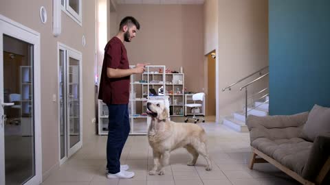 Vet playing with a patient