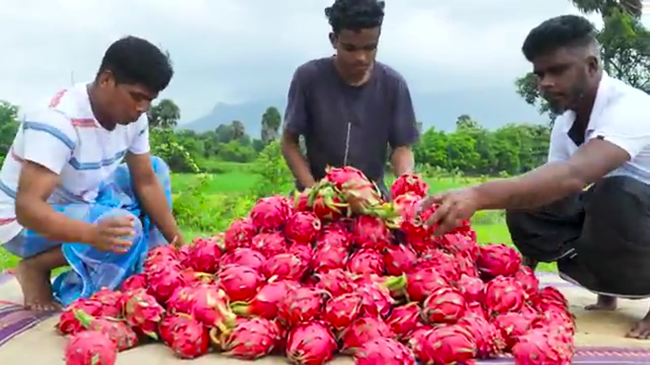 150kg DRAGON FRUIT | Homemade Dragon Fruit Jam Recipe | village food