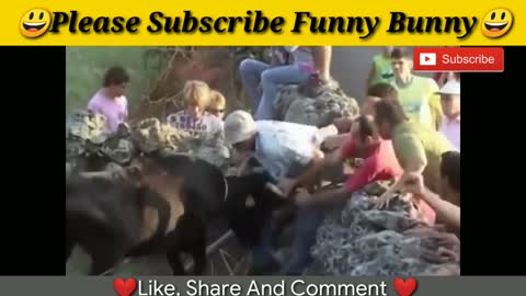 Best funny videos Most awesome bullfighting festival funny crazy bull fails(HAYPE)