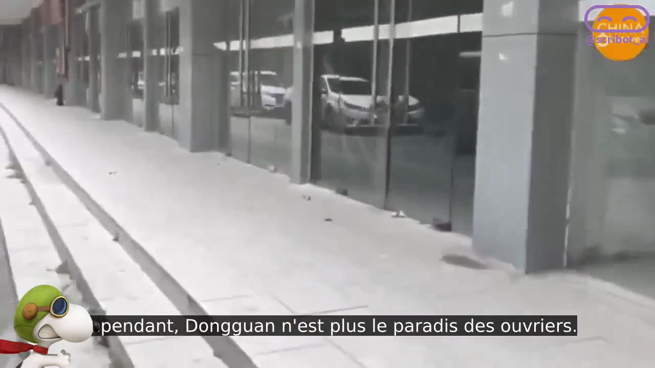 ÇA VA PÉTER DONGGUAN