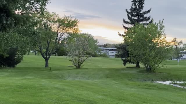 Magic nature in Rundle park Edmonton Canada