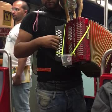 Man plays red accordion with dog sitting on top