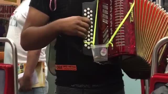 Man plays red accordion with dog sitting on top