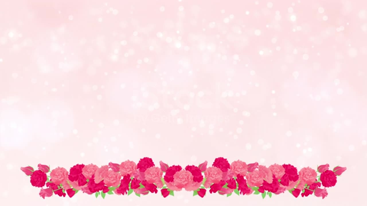 Floral frame on pink blurred lights background, Pink Carnations, Gerbera and Rose HD stock video