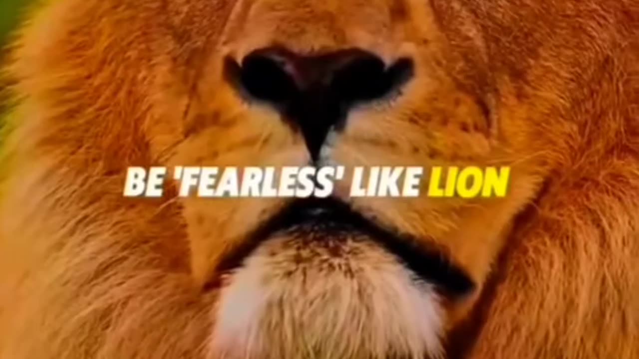 Motivational video