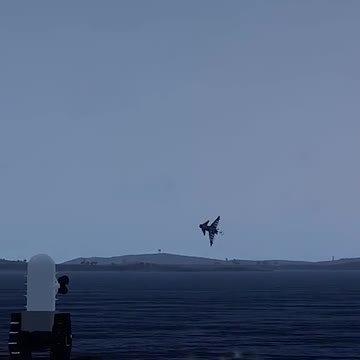 funny|prank|jokes|funny jokes|dad jokes|funny memes|funny video|fun|laughing|funny animal|knock