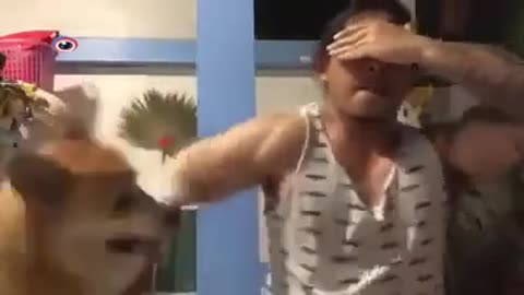 Best Fight Dog vs Man