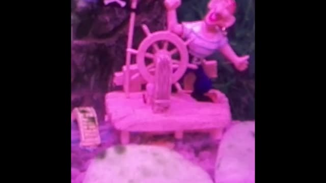 Underwater pirate