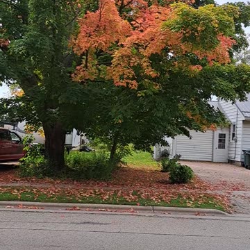 Fall colors showing the glory of God, praise Him as you drive to see.