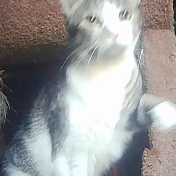 EA S94 - What is That?