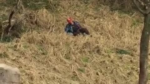 Man been eaten by a tiger🙇