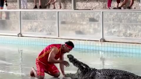 Playing with Crocodiles at Pattaya Crocodile show