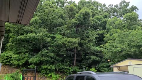 rain in the countryside~!