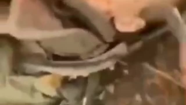 ❗️STRENG 18+ Ukrainischer Soldat misshandelt Leiche eines russischen Soldaten.