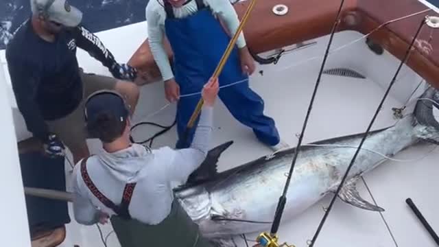 How to get a 350lb+ Sword in a Sportfish!