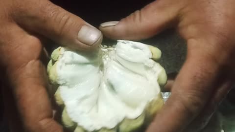 Custard apple