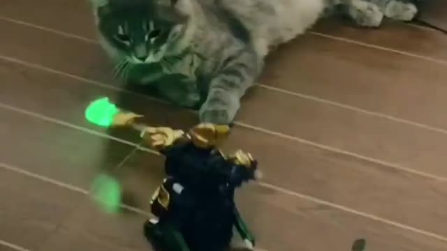 It's the war between robot and cat