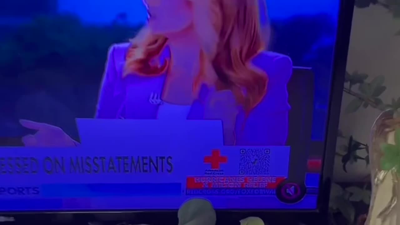 Patriot Princess on point once again