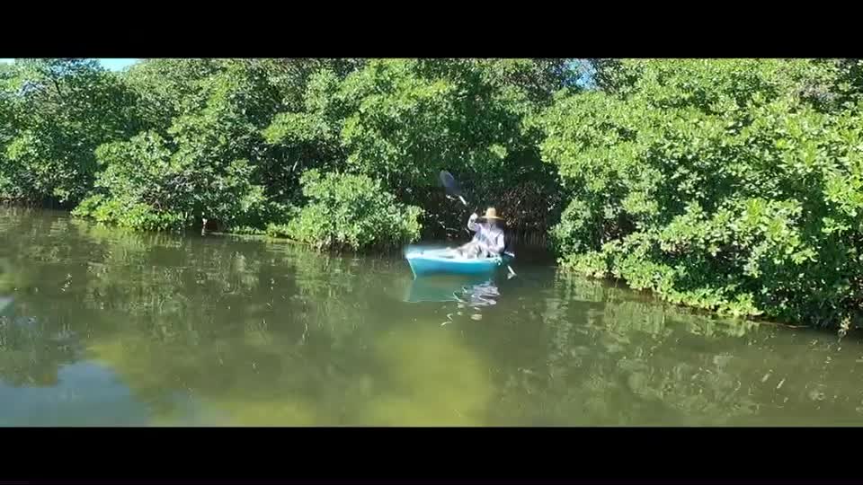 Moments With Michael Jaco~ 🥰 35 Year Retired Navy Seal & CIA Op Explores Caladesi Island, Florida