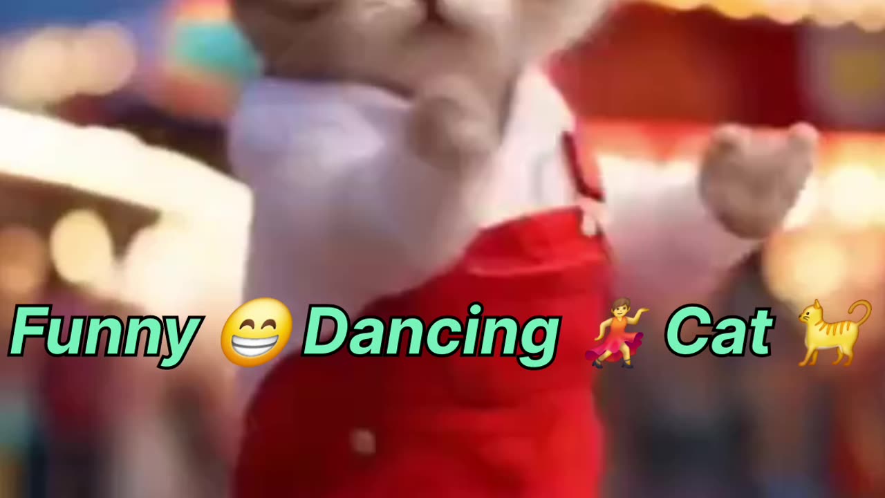 Funny dancing cat very cute 😍