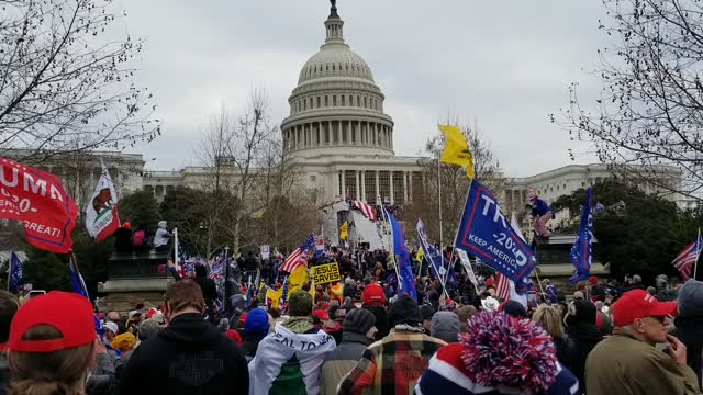 The Beautiful Peaceful Crowd in front of the Capitol