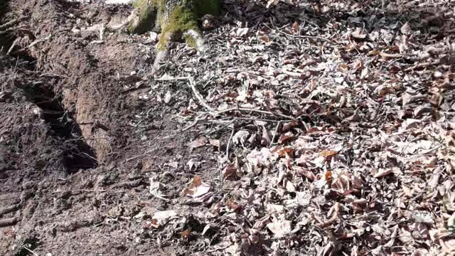 Solar trench to house