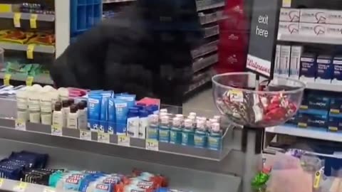 Normal day in a blue state