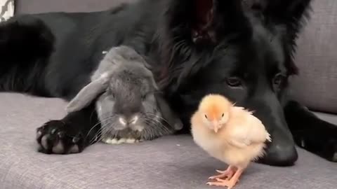Group picture goes wrong!