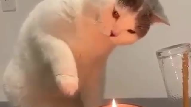 First time experience with candles 🕯 fire