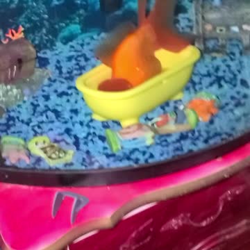 My fish sleeping in his little bathtub