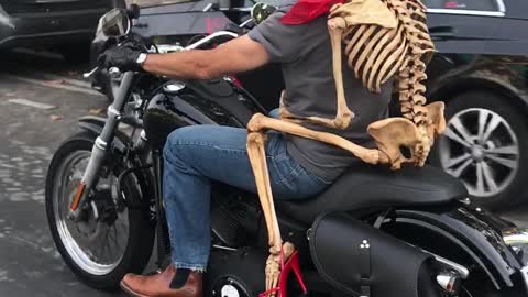 Motorcycle Passenger is Bad to the Bone