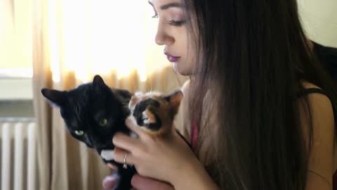 Adorable young couple in the living room relaxing and playing with their cats