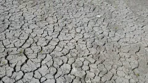 How Saudi is Turning Desert into Greenland