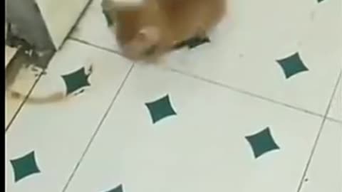 hold on