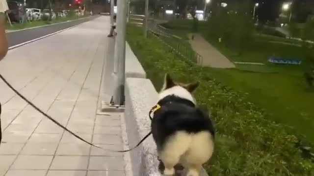 Late night walk with my love